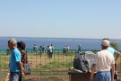 Изображение - 12 