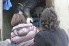 Изображение - 13 