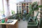 Изображение - 10 