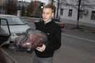 Изображение - 2 