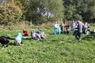 Сурәт - 18 