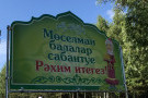 Сурәт - 8 