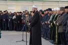 Сурәт - 8 