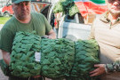 Изображение - 23 