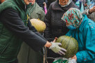 Изображение - 10 