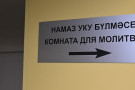 Изображение - 1 