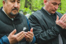 Изображение - 31 
