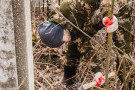Изображение - 1 