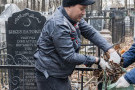 Сурәт - 7 