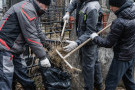 Сурәт - 12 