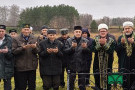 Сурәт - 31 
