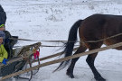 Сурәт - 21 