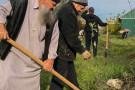 Сурәт - 19 