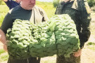 Изображение - 3 