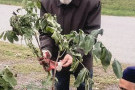 Изображение - 2 