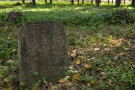 Сурәт - 25 