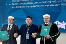Сурәт - 2 
