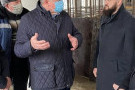 Сурәт - 7 
